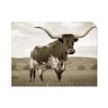Picture of Life of a Bull _GroupedProduct_Rectangle_Landscape_Photography _GroupedProduct_Rectangle_Landscape_Unframed_Print_Only_