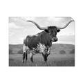 Picture of Life of a Bull _GroupedProduct_Rectangle_Landscape_Photography _GroupedProduct_Rectangle_Landscape_Unframed_Print_Only_