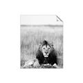 Picture of Lion Stare _GroupedProduct_Rectangle_Portrait_Photography _GroupedProduct_Rectangle_Portrait_Unframed_Print_Only_