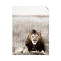 Picture of Lion Stare _GroupedProduct_Rectangle_Portrait_Photography _GroupedProduct_Rectangle_Portrait_Unframed_Print_Only_