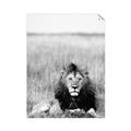 Picture of Lion Stare _GroupedProduct_Rectangle_Portrait_Photography _GroupedProduct_Rectangle_Portrait_Unframed_Print_Only_