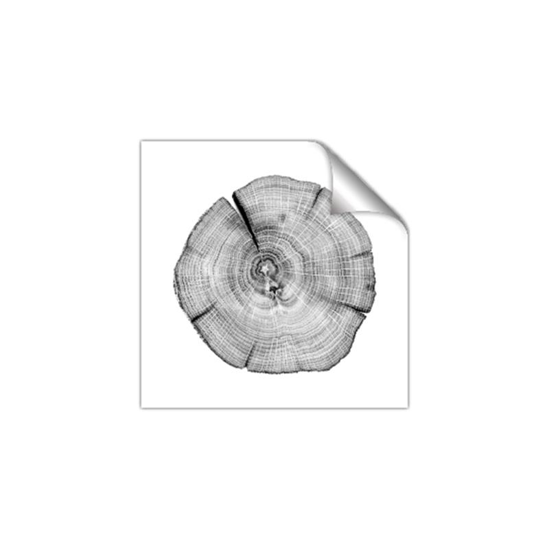 Picture of Logging In _GroupedProduct_Square_Photography _GroupedProduct_Square_Unframed_Print_Only_