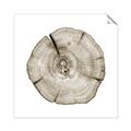 Picture of Logging In _GroupedProduct_Square_Photography _GroupedProduct_Square_Unframed_Print_Only_
