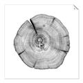 Picture of Logging In _GroupedProduct_Square_Photography _GroupedProduct_Square_Unframed_Print_Only_