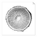 Picture of Logging In ll _GroupedProduct_Square_Photography _GroupedProduct_Square_Unframed_Print_Only_