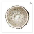 Picture of Logging In ll _GroupedProduct_Square_Photography _GroupedProduct_Square_Unframed_Print_Only_