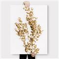 Picture of Dried Eucalyptus   _GroupedProduct_Rectangle_Portrait_Photography _GroupedProduct_Rectangle_Portrait_Canvas_