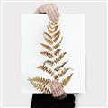 Picture of Dried Fern Leaf  _GroupedProduct_Rectangle_Portrait_Photography _GroupedProduct_Rectangle_Portrait_Canvas_