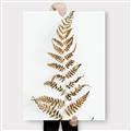 Picture of Dried Fern Leaf  _GroupedProduct_Rectangle_Portrait_Photography _GroupedProduct_Rectangle_Portrait_Canvas_