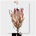 Picture of Dried Flower II _GroupedProduct_Rectangle_Portrait_Photography _GroupedProduct_Rectangle_Portrait_Canvas_