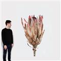 Picture of Dried Flower II _GroupedProduct_Rectangle_Portrait_Photography _GroupedProduct_Rectangle_Portrait_Canvas_