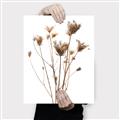 Picture of Dried Flower III  _GroupedProduct_Rectangle_Portrait_Photography _GroupedProduct_Rectangle_Portrait_Canvas_