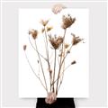 Picture of Dried Flower III  _GroupedProduct_Rectangle_Portrait_Photography _GroupedProduct_Rectangle_Portrait_Canvas_