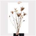 Picture of Dried Flower III  _GroupedProduct_Rectangle_Portrait_Photography _GroupedProduct_Rectangle_Portrait_Canvas_