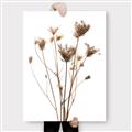 Picture of Dried Flower III  _GroupedProduct_Rectangle_Portrait_Photography _GroupedProduct_Rectangle_Portrait_Canvas_