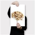 Picture of Dried Hydrangea _GroupedProduct_Rectangle_Portrait_Photography _GroupedProduct_Rectangle_Portrait_Canvas_