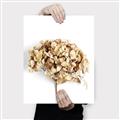 Picture of Dried Hydrangea _GroupedProduct_Rectangle_Portrait_Photography _GroupedProduct_Rectangle_Portrait_Canvas_