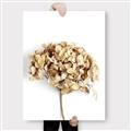 Picture of Dried Hydrangea _GroupedProduct_Rectangle_Portrait_Photography _GroupedProduct_Rectangle_Portrait_Canvas_