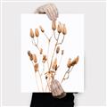 Picture of Dried Lilies  _GroupedProduct_Rectangle_Portrait_Photography _GroupedProduct_Rectangle_Portrait_Canvas_