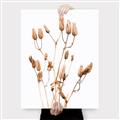 Picture of Dried Lilies  _GroupedProduct_Rectangle_Portrait_Photography _GroupedProduct_Rectangle_Portrait_Canvas_