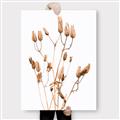 Picture of Dried Lilies  _GroupedProduct_Rectangle_Portrait_Photography _GroupedProduct_Rectangle_Portrait_Canvas_