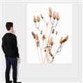 Picture of Dried Lilies  _GroupedProduct_Rectangle_Portrait_Photography _GroupedProduct_Rectangle_Portrait_Canvas_