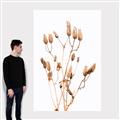 Picture of Dried Lilies  _GroupedProduct_Rectangle_Portrait_Photography _GroupedProduct_Rectangle_Portrait_Canvas_