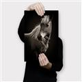 Picture of Ebony, the Horse _GroupedProduct_Rectangle_Portrait_Photography _GroupedProduct_Rectangle_Portrait_Canvas_