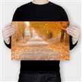 Picture of Falling Leaves  _GroupedProduct_Rectangle_Landscape_Photography _GroupedProduct_Rectangle_Landscape_Canvas_