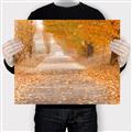Picture of Falling Leaves  _GroupedProduct_Rectangle_Landscape_Photography _GroupedProduct_Rectangle_Landscape_Canvas_