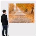 Picture of Falling Leaves  _GroupedProduct_Rectangle_Landscape_Photography _GroupedProduct_Rectangle_Landscape_Canvas_