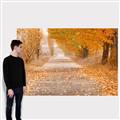 Picture of Falling Leaves  _GroupedProduct_Rectangle_Landscape_Photography _GroupedProduct_Rectangle_Landscape_Canvas_