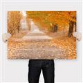 Picture of Falling Leaves  _GroupedProduct_Rectangle_Landscape_Photography _GroupedProduct_Rectangle_Landscape_Canvas_