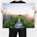 Picture of Field of Dreams   _GroupedProduct_Rectangle_Landscape_Photography _GroupedProduct_Rectangle_Landscape_Canvas_