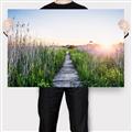 Picture of Field of Dreams   _GroupedProduct_Rectangle_Landscape_Photography _GroupedProduct_Rectangle_Landscape_Canvas_