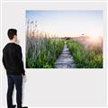 Picture of Field of Dreams   _GroupedProduct_Rectangle_Landscape_Photography _GroupedProduct_Rectangle_Landscape_Canvas_