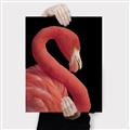 Picture of Flamingo Flame _GroupedProduct_Rectangle_Portrait_Photography _GroupedProduct_Rectangle_Portrait_Canvas_
