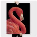Picture of Flamingo Flame _GroupedProduct_Rectangle_Portrait_Photography _GroupedProduct_Rectangle_Portrait_Canvas_
