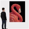 Picture of Flamingo Flame _GroupedProduct_Rectangle_Portrait_Photography _GroupedProduct_Rectangle_Portrait_Canvas_