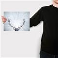 Picture of Forest Stag _GroupedProduct_Rectangle_Landscape_Photography _GroupedProduct_Rectangle_Landscape_Canvas_