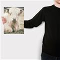 Picture of Furry Cow _GroupedProduct_Rectangle_Portrait_Photography _GroupedProduct_Rectangle_Portrait_Canvas_