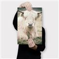 Picture of Furry Cow _GroupedProduct_Rectangle_Portrait_Photography _GroupedProduct_Rectangle_Portrait_Canvas_