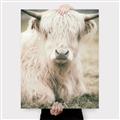Picture of Furry Cow _GroupedProduct_Rectangle_Portrait_Photography _GroupedProduct_Rectangle_Portrait_Canvas_