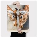 Picture of Giraffe Pals  _GroupedProduct_Rectangle_Portrait_Photography _GroupedProduct_Rectangle_Portrait_Canvas_