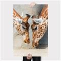 Picture of Giraffe Pals  _GroupedProduct_Rectangle_Portrait_Photography _GroupedProduct_Rectangle_Portrait_Canvas_