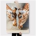 Picture of Giraffe Pals  _GroupedProduct_Rectangle_Portrait_Photography _GroupedProduct_Rectangle_Portrait_Canvas_