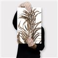 Picture of Grass _GroupedProduct_Rectangle_Portrait_Photography _GroupedProduct_Rectangle_Portrait_Canvas_