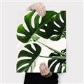 Picture of Green Palms _GroupedProduct_Rectangle_Portrait_Photography _GroupedProduct_Rectangle_Portrait_Canvas_