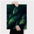 Picture of Greenleaf I _GroupedProduct_Rectangle_Portrait_Photography _GroupedProduct_Rectangle_Portrait_Canvas_