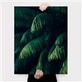 Picture of Greenleaf I _GroupedProduct_Rectangle_Portrait_Photography _GroupedProduct_Rectangle_Portrait_Canvas_